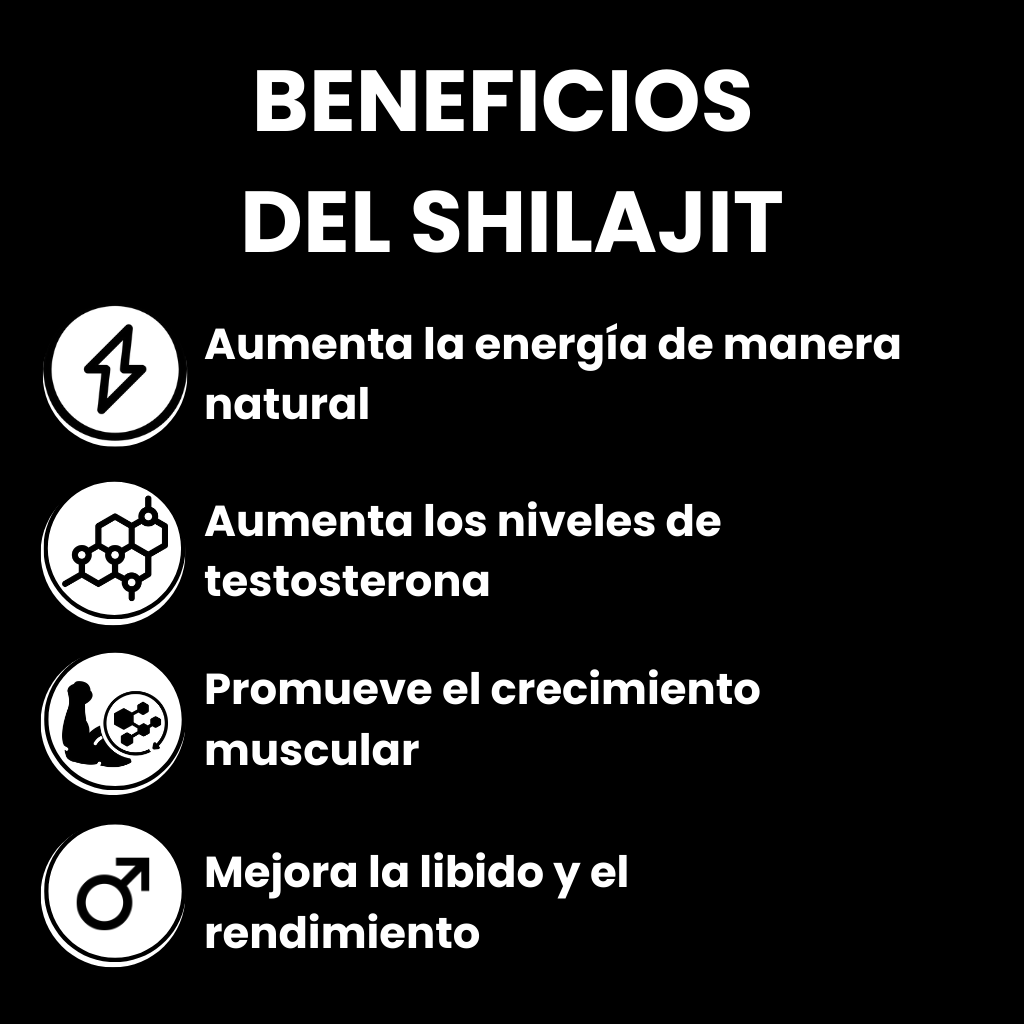 SHILAJIT PURO DEL HIMALAYAS