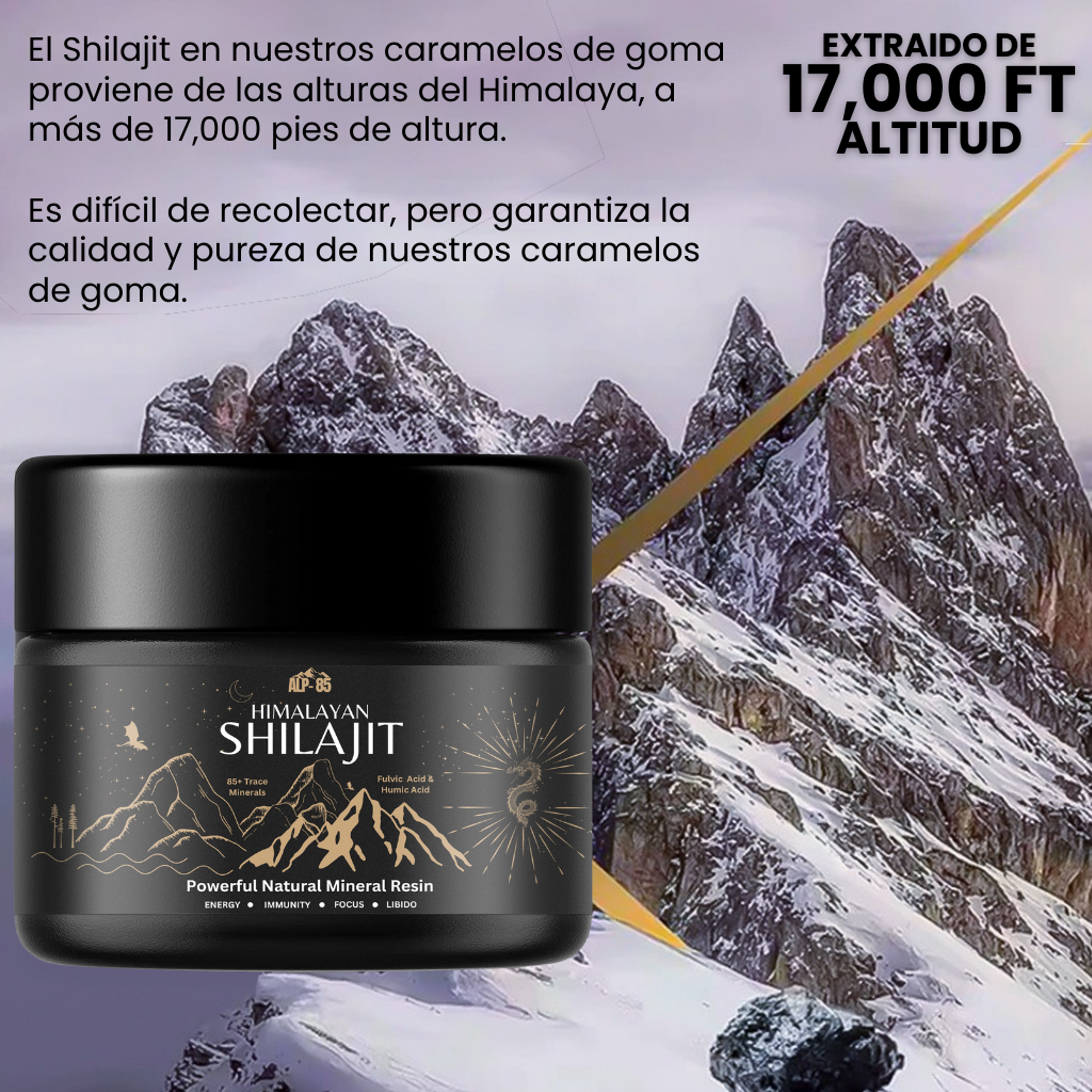 SHILAJIT PURO DEL HIMALAYAS